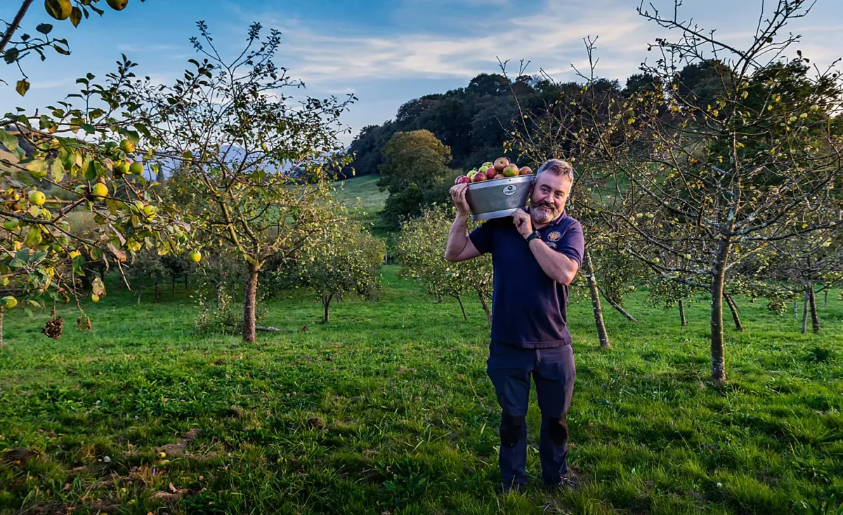 Francisco Ordoñez sujetando una cesta con manzanas en un campo con manzanos